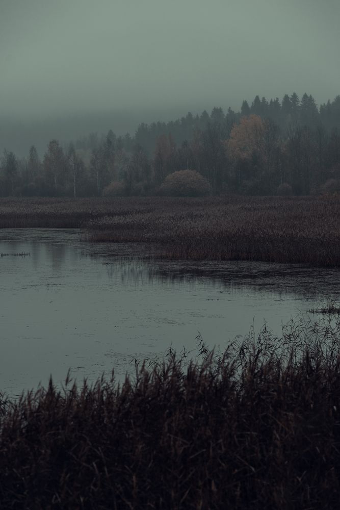 Photograph by Илькин Салимов