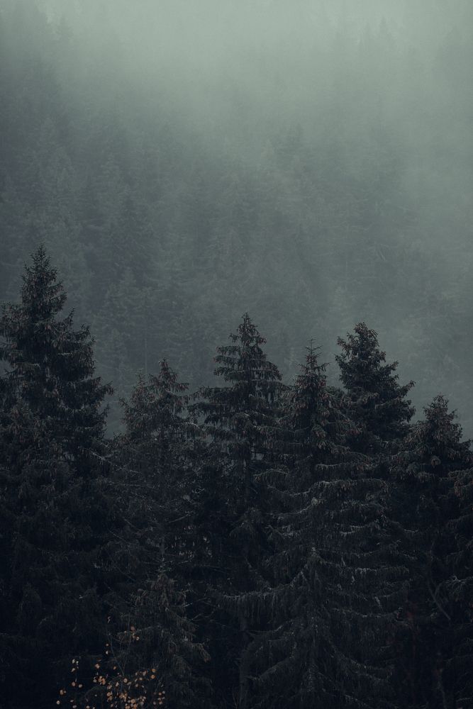 Photograph by Илькин Салимов