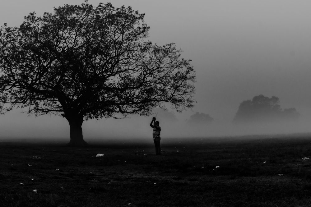 Blissful foggy morning