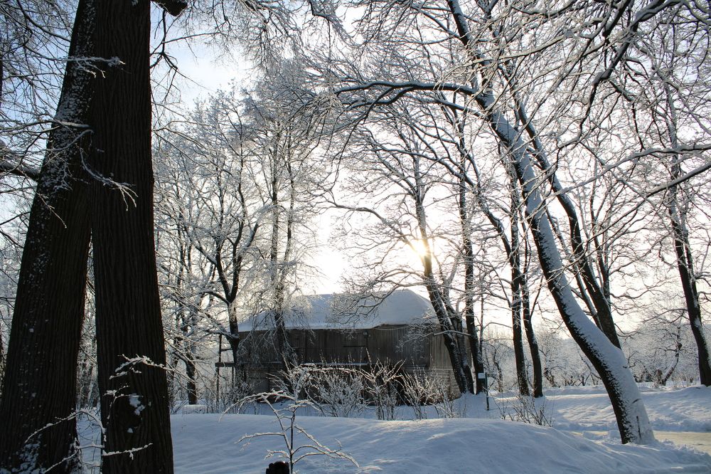 Фотография автора Иван Кириллов