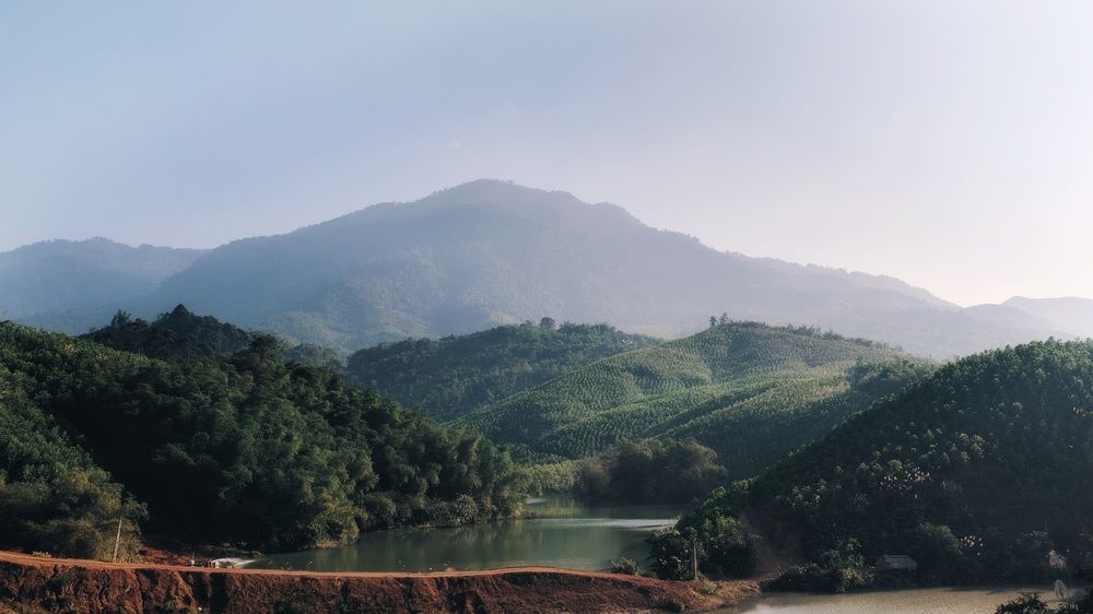 Photograph by Dương Nguyễn