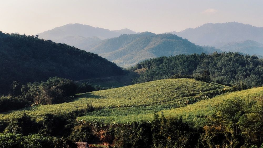 Photograph by Dương Nguyễn