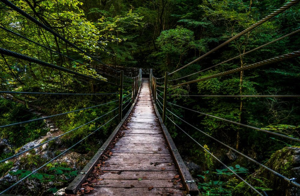 Photograph by Виктория Солодар