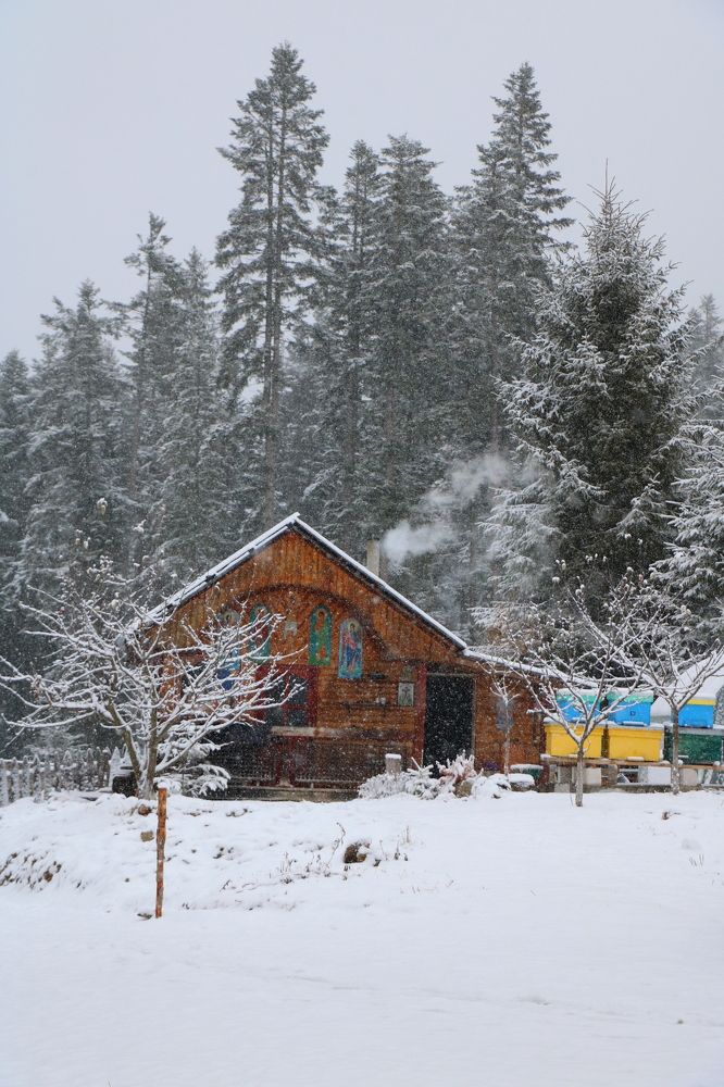 Photograph by Maria Golovach