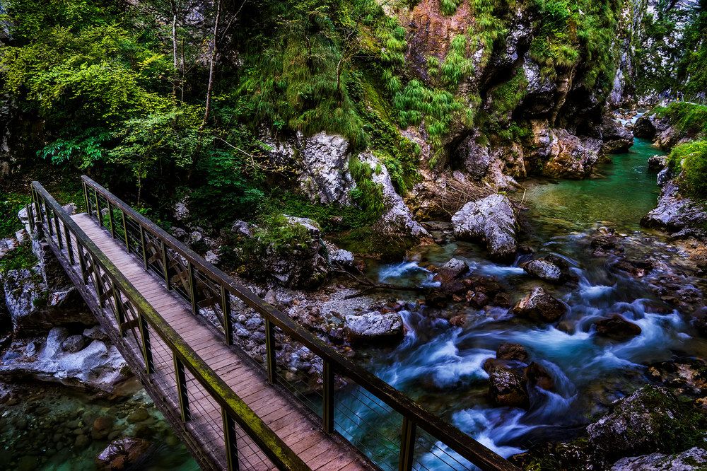 Photograph by Виктория Солодар