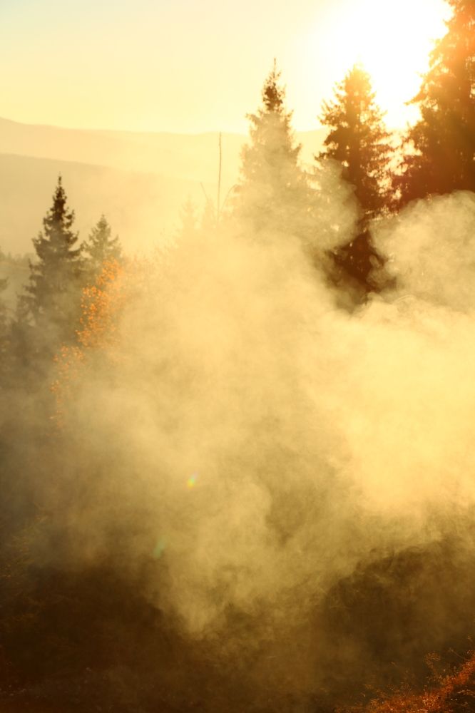 Photograph by Maria Golovach