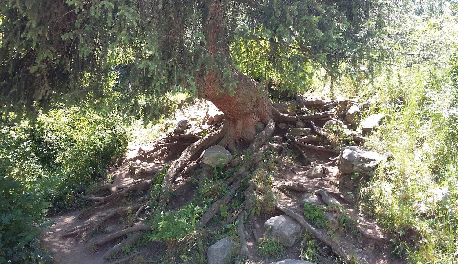 Photo #6875102