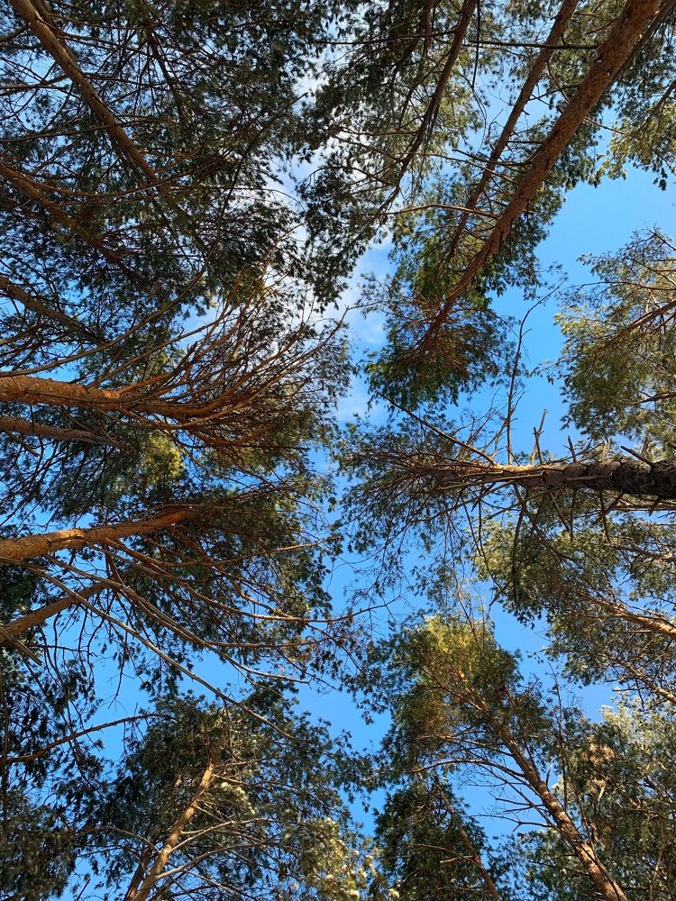 Photograph by Анастасия Глушкова