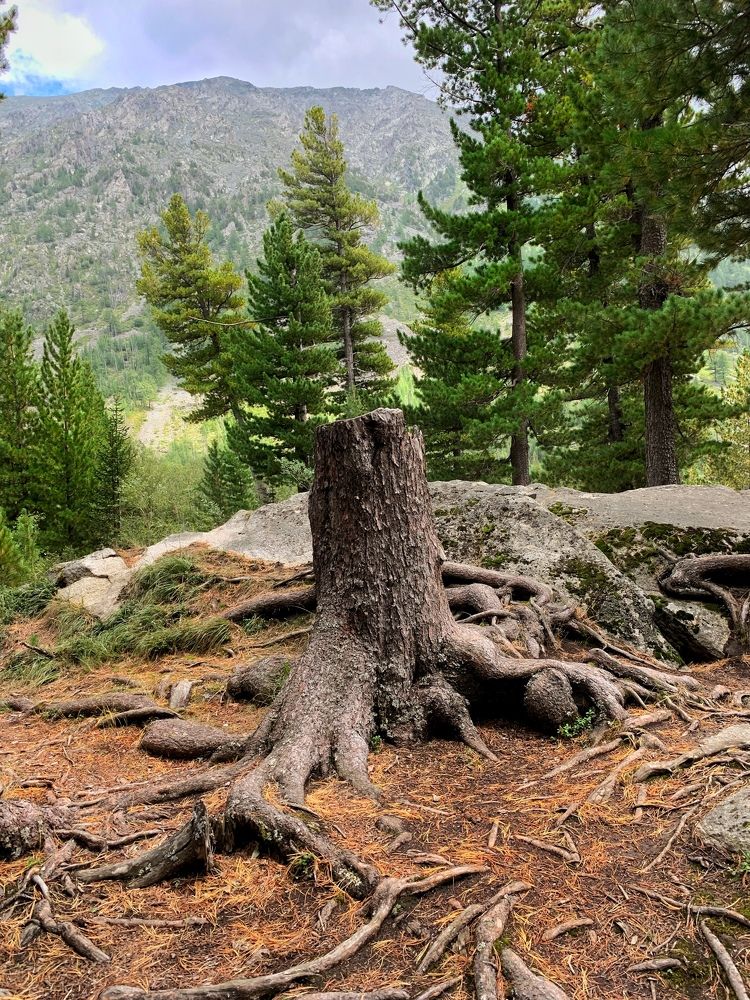 Photograph by Анастасия Глушкова