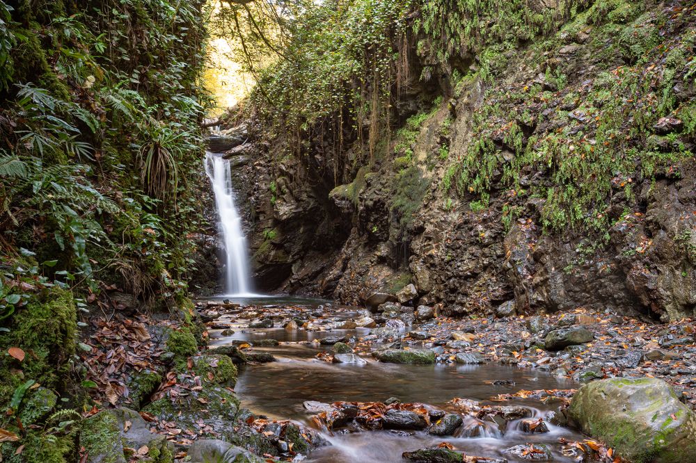 Photograph by Александр Вдовенко