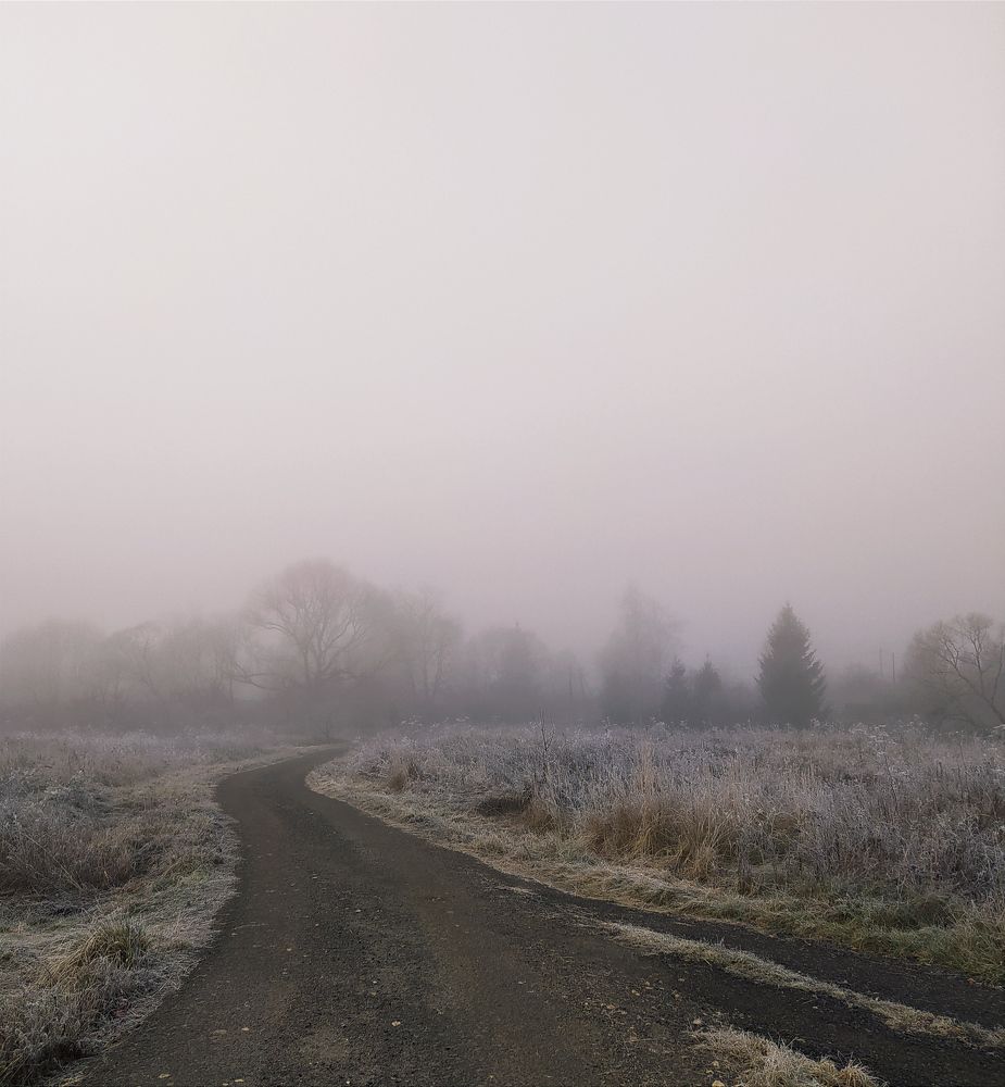 Photo #6875154