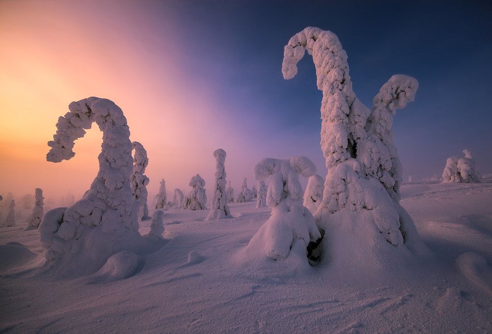 Photograph by Mulkahainen Valtteri