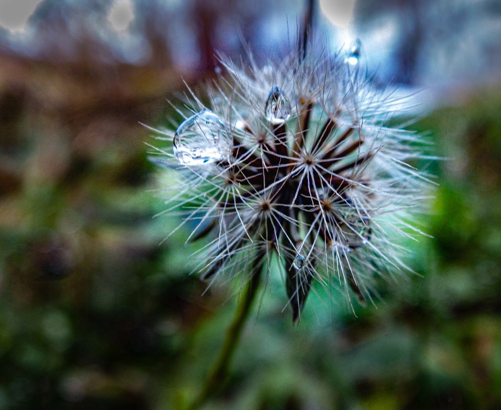 Photograph by Владимир Рябов