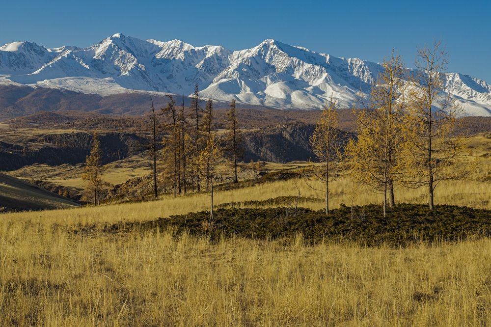 Photograph by Владимир Каверин