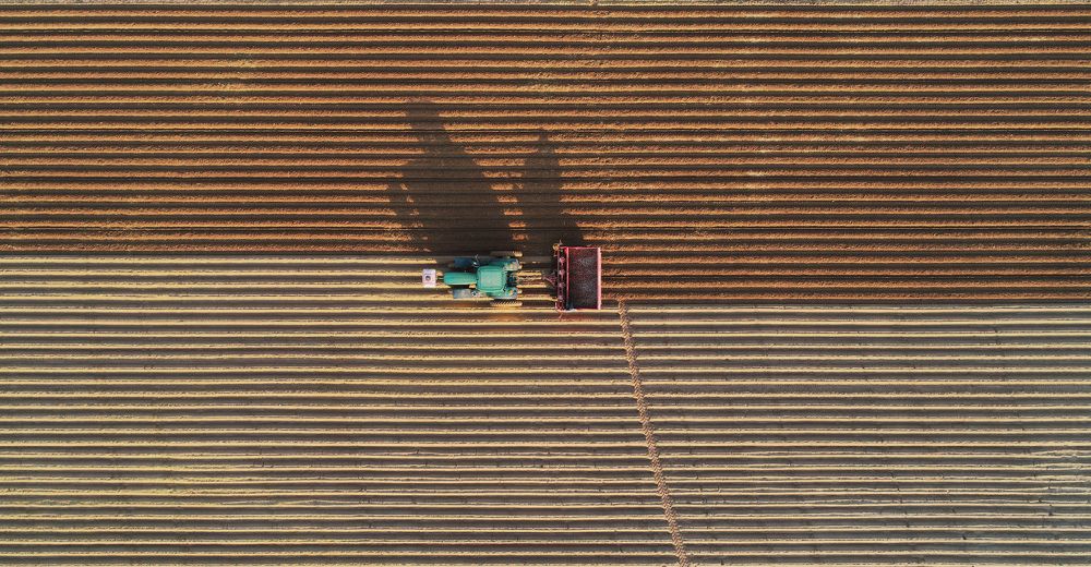 Photograph by Ali Alyassiri