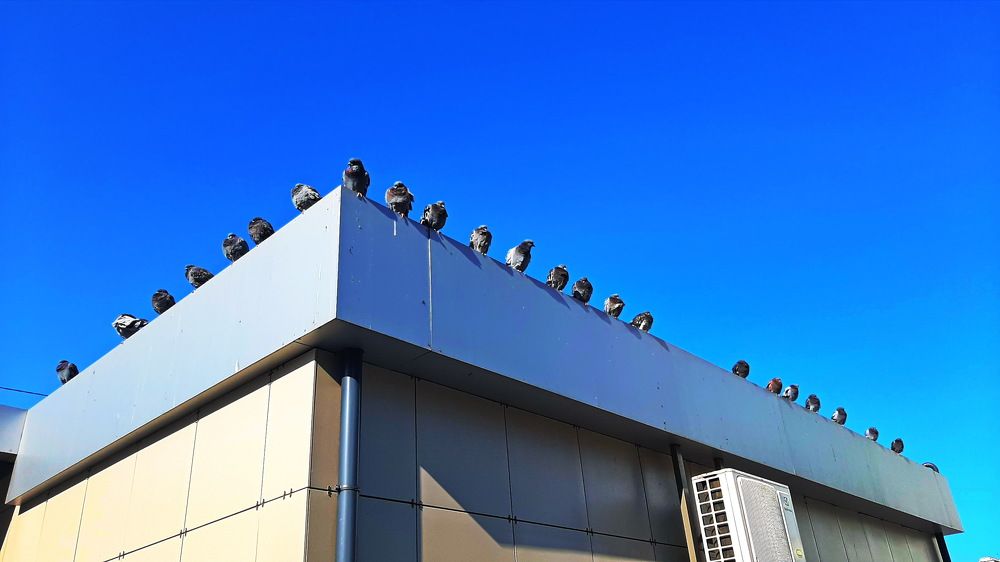 Фотография автора Моисеева Ольга