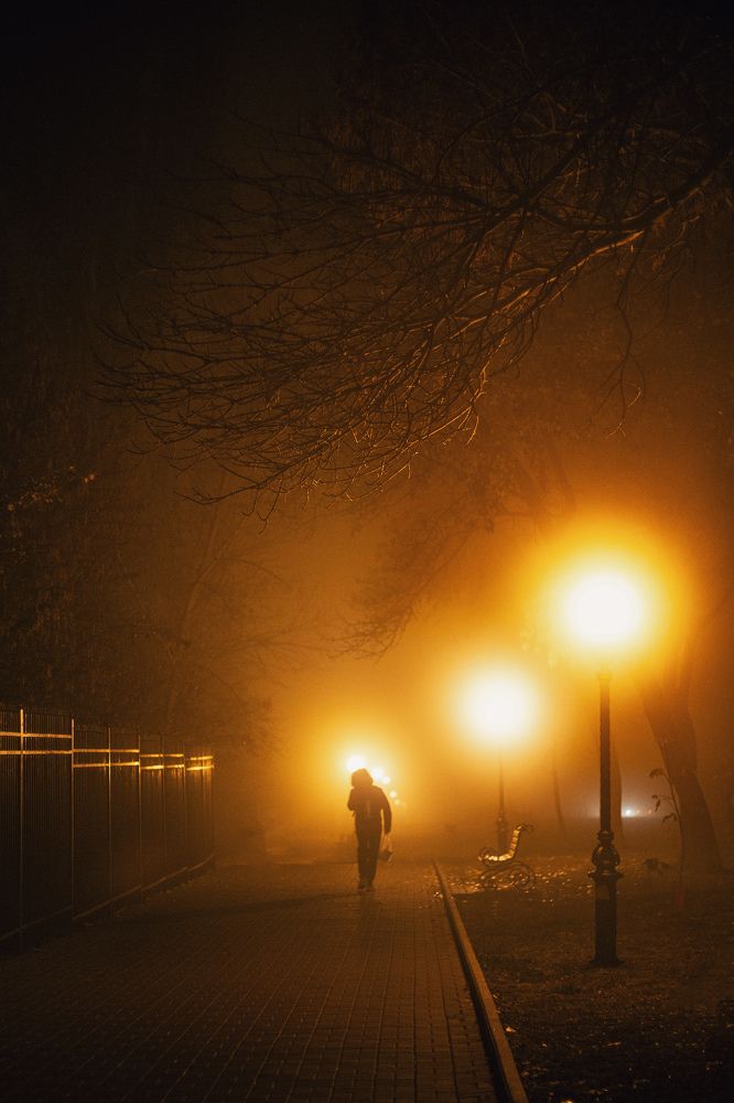 Photograph by Екатерина Кваша