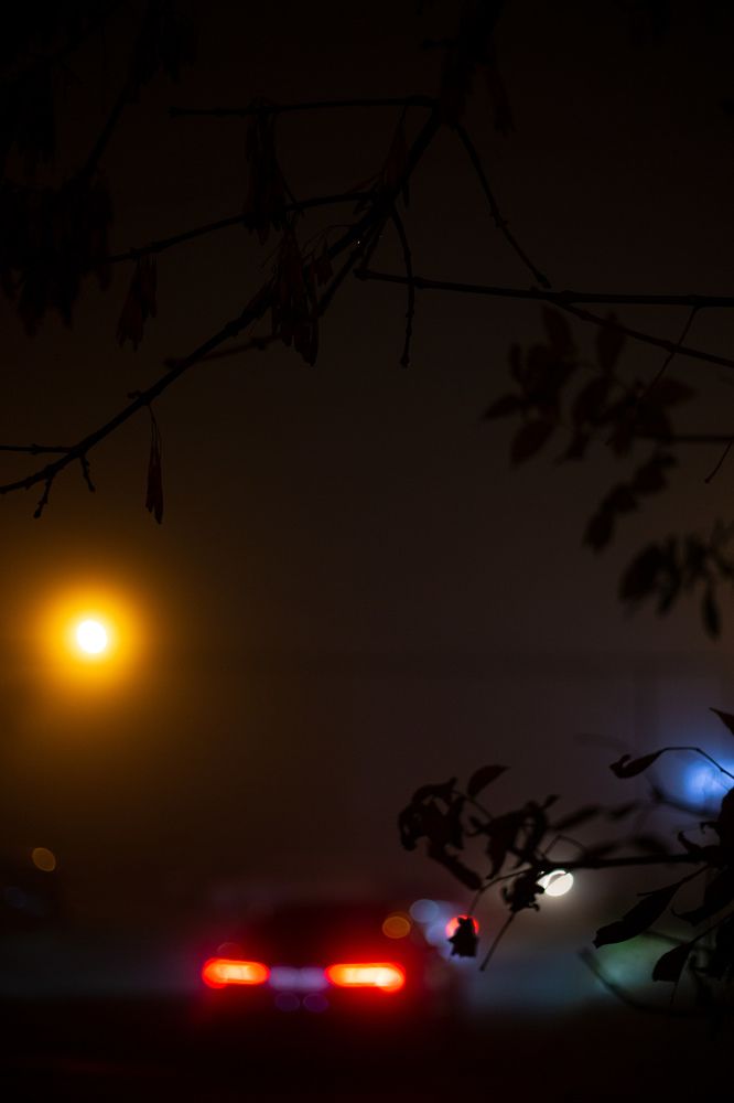 Photograph by Екатерина Кваша