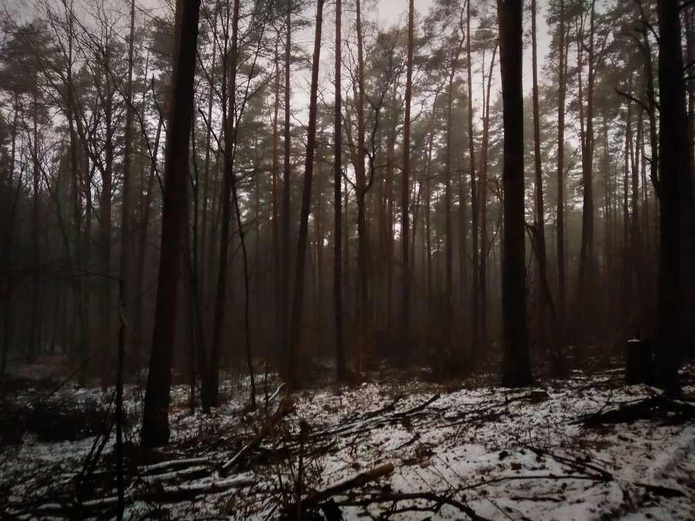 Photograph by Данило Василенко