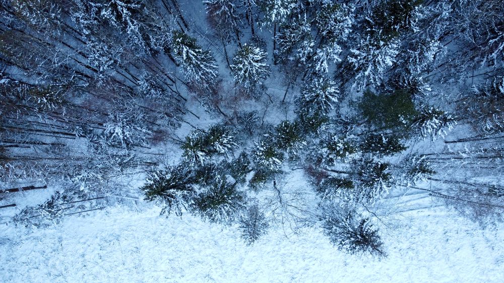 Photograph by Михаил Серебренников