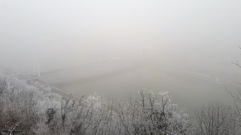 Photograph by Darya Вега