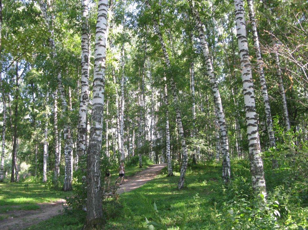 Photograph by Мадали Найманбаев