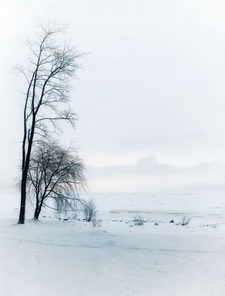 Photograph by Александра Некрасова