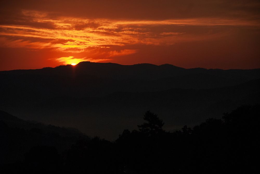 Photograph by Anastasiia Mietielieva