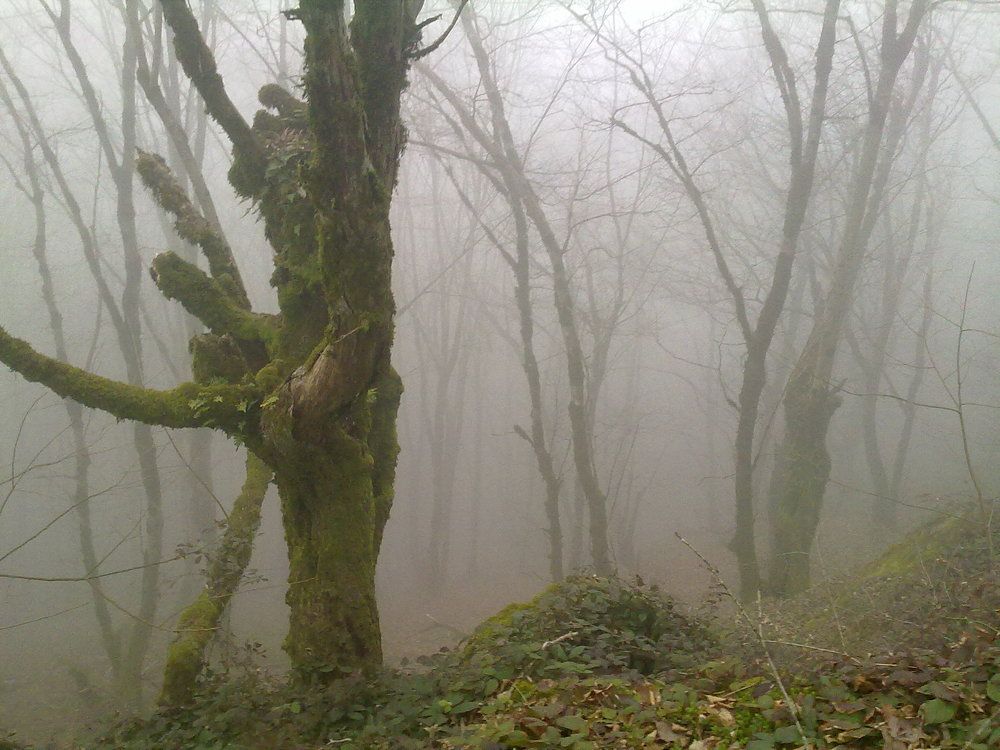 Photograph by Mohammad Amin Ghaffari