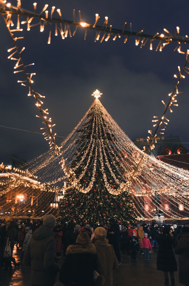 Photograph by Гиорги Бегадзе