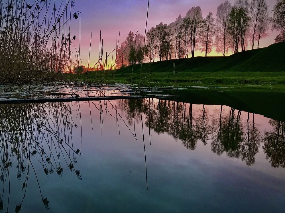 Photograph by Григорий Лыжин