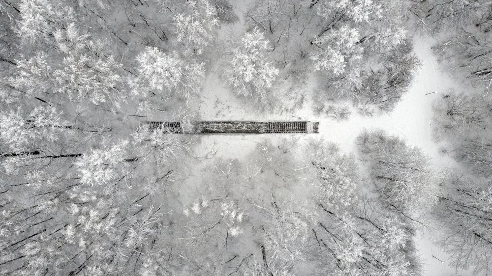 Фотография автора Коротков Алексей