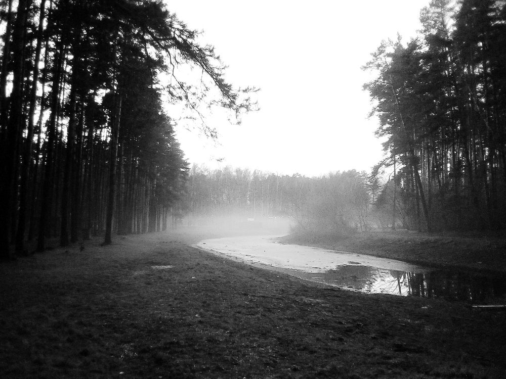 Photograph by Вадим Беляев