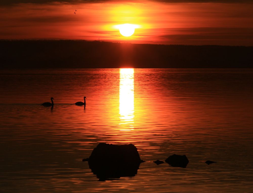 Photograph by Narcis Aurel Mursă