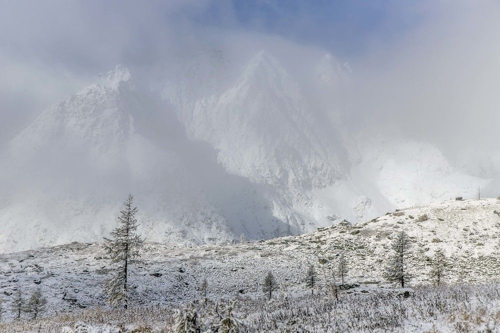 Photograph by Елена