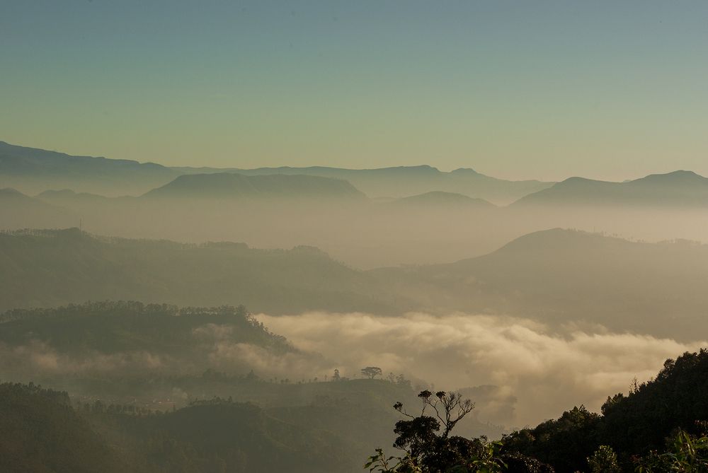 Photograph by Laddu Sasindu Pramuditha De Silva