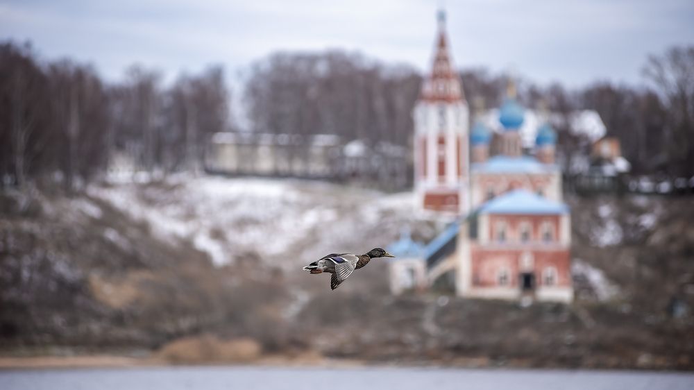 Photograph by Алексей Соколов