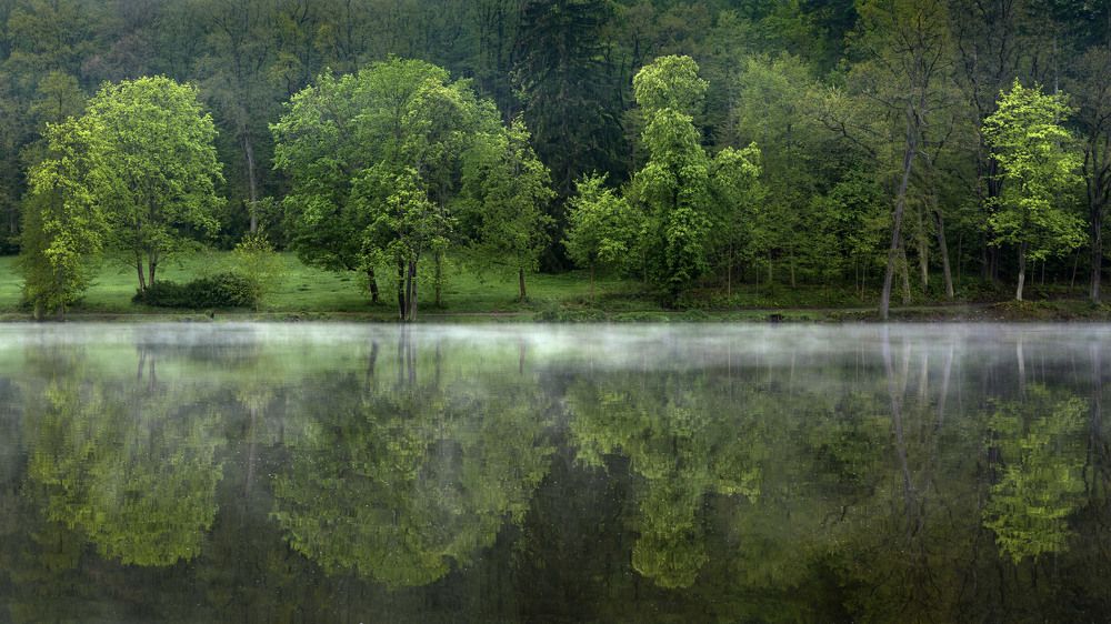 Photograph by Vaclav Knap