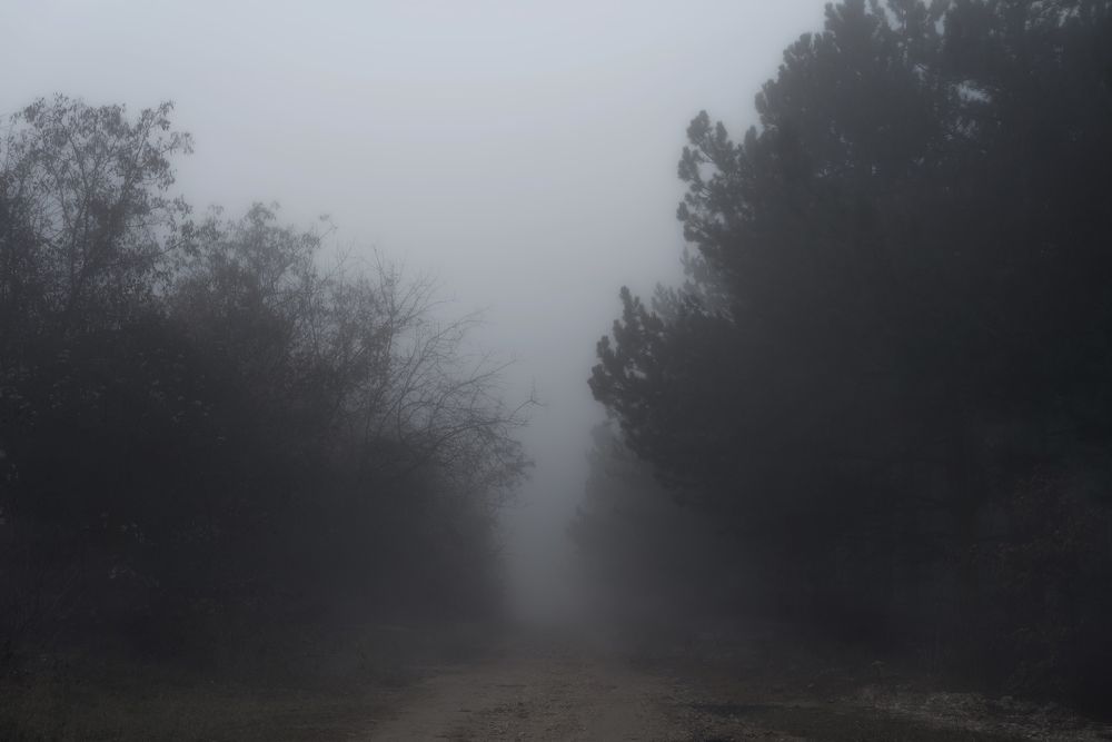 Photograph by Оксана Пономаренко