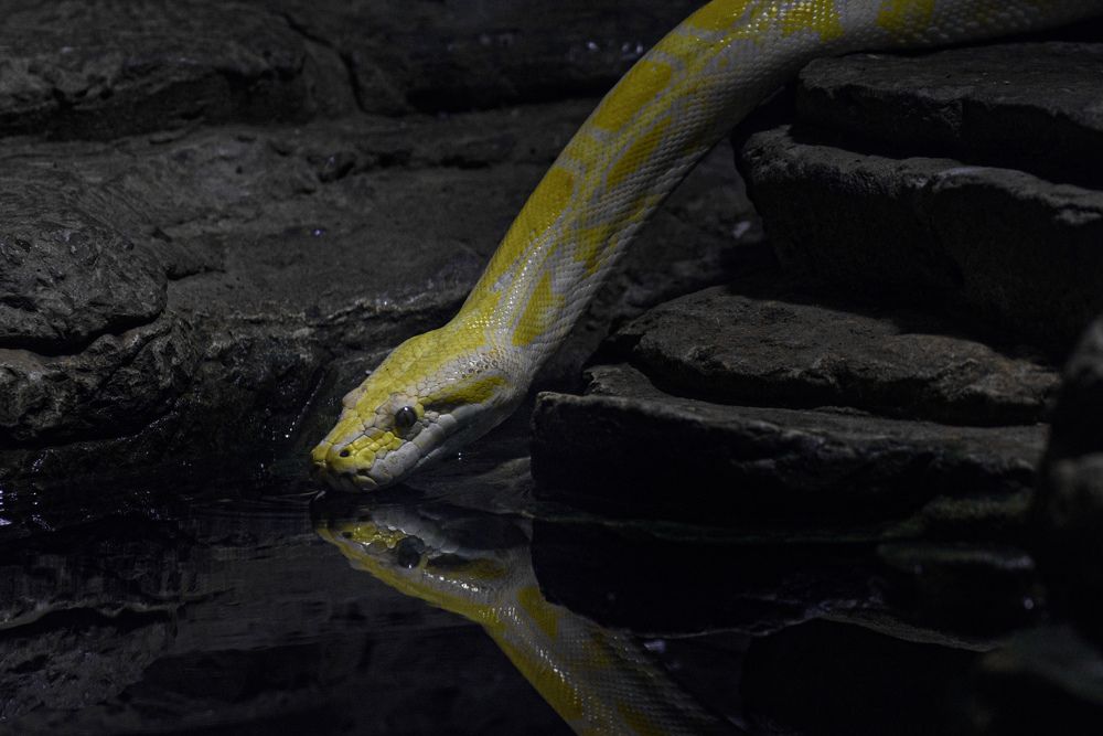 Photograph by Антон Бойков