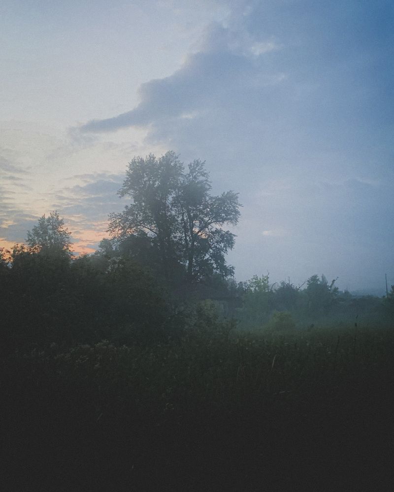 Photograph by Светлана Стрельникова