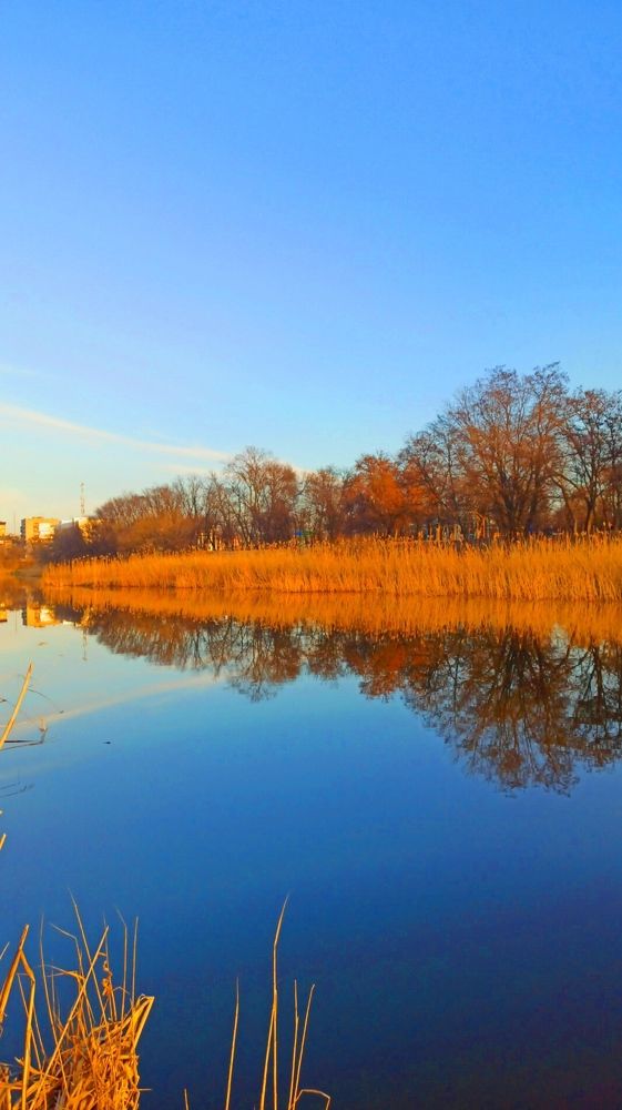 Photograph by Наталия