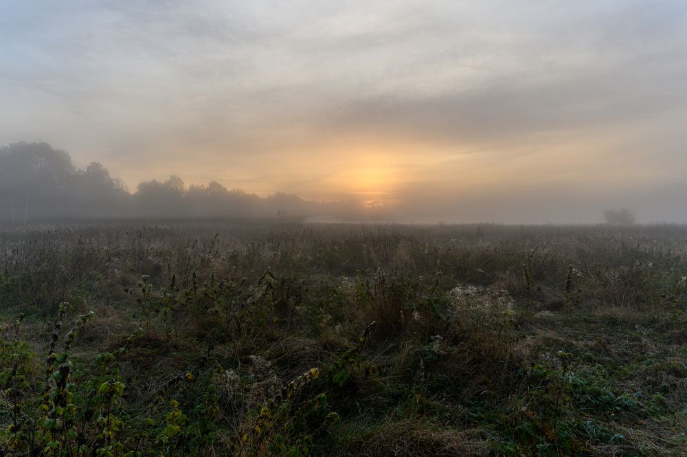 Photograph by Олег Сальников