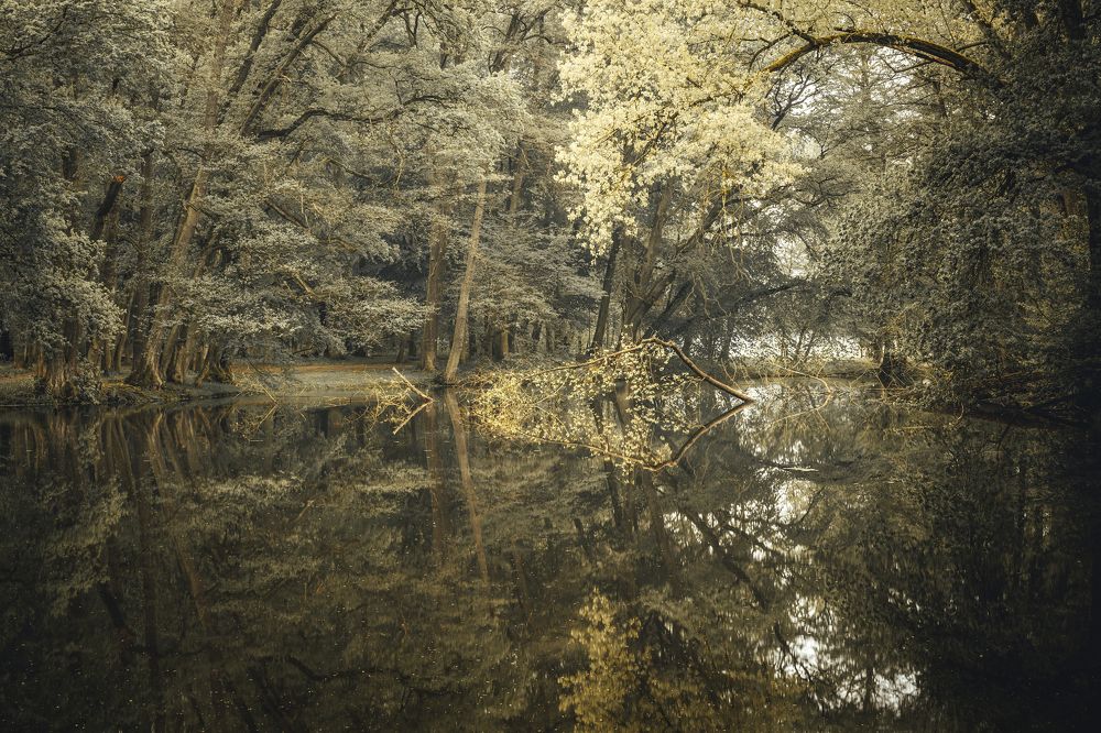 Photograph by Vaclav Knap