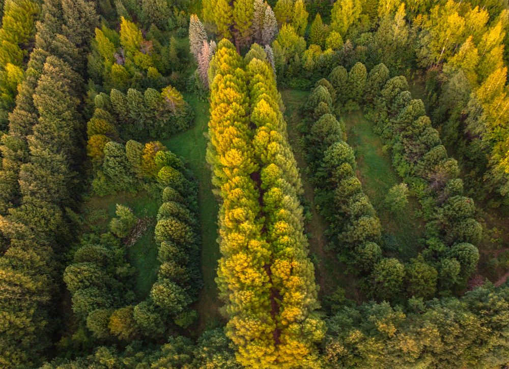 Photograph by Андрей Малыгин