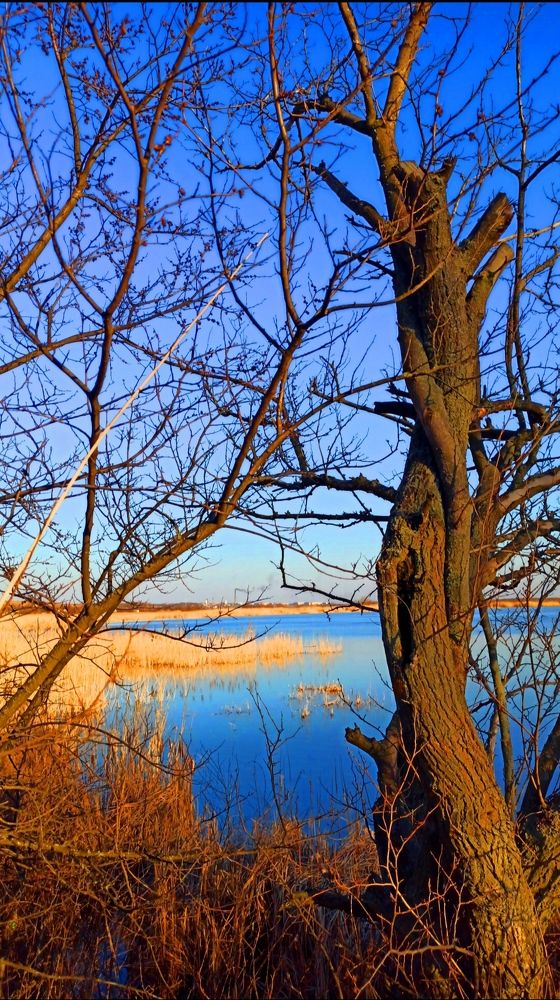 Photograph by Наталия