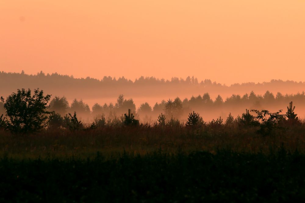 Photograph by Александр Масенко