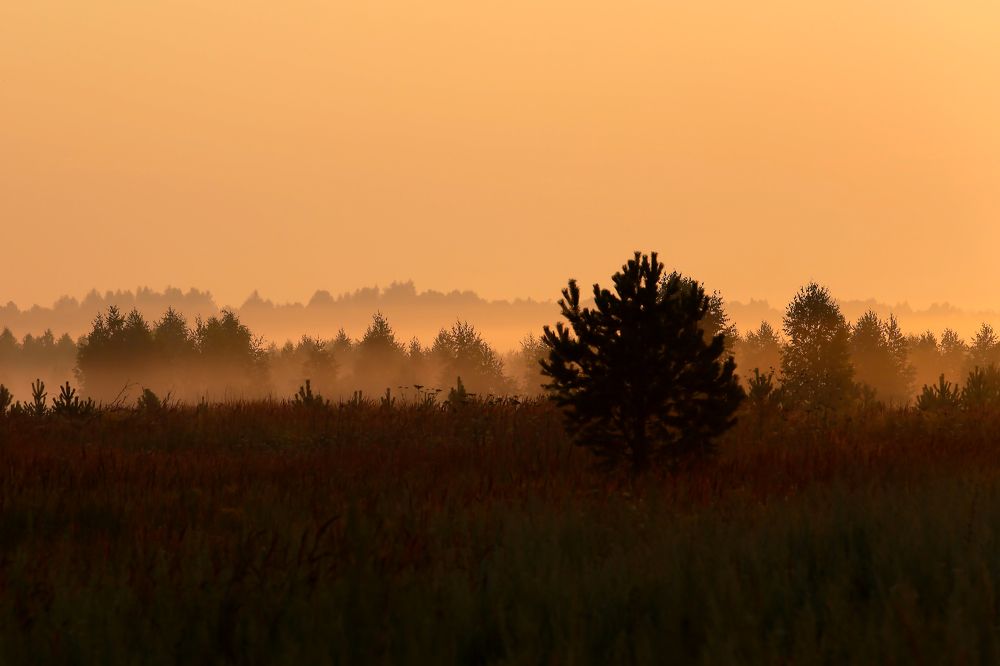 Photograph by Александр Масенко