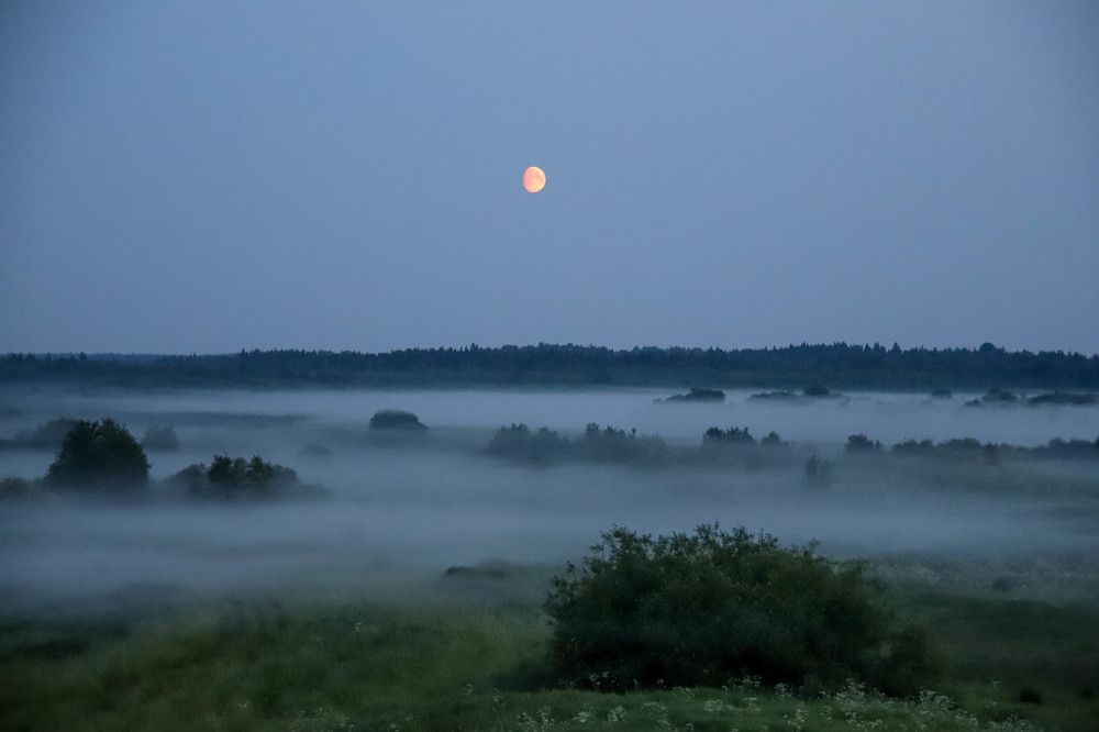 Photograph by Александр Трифанов