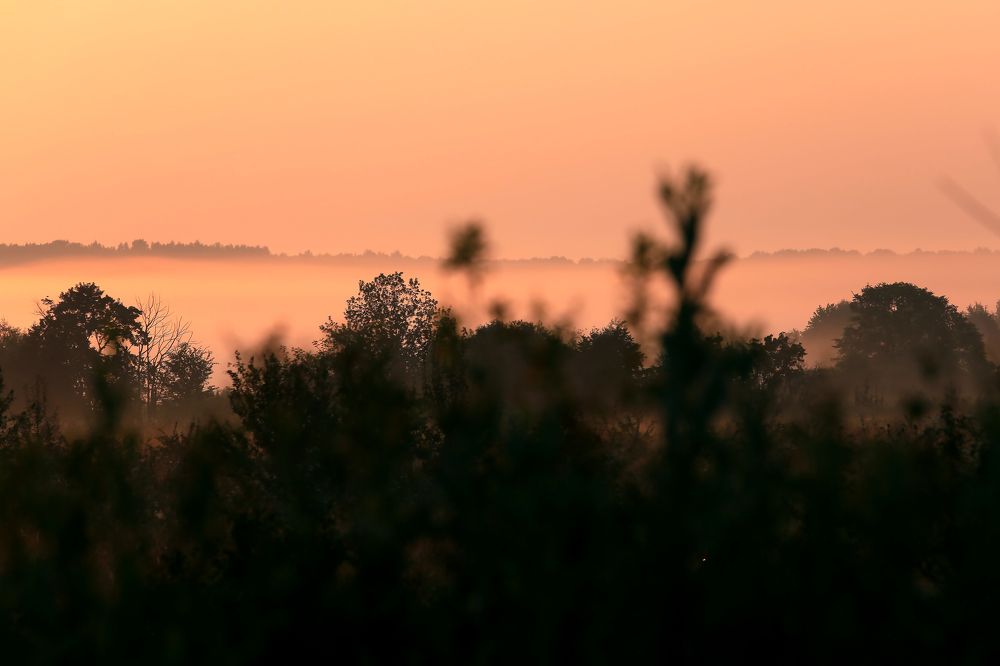 Photograph by Александр Масенко